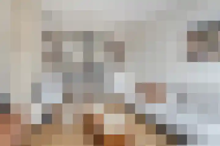 Prins Bernhardlaan 48 Voorschoten thumbnail 10