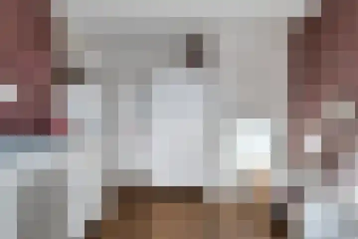 Prins Bernhardlaan 48 Voorschoten thumbnail 18