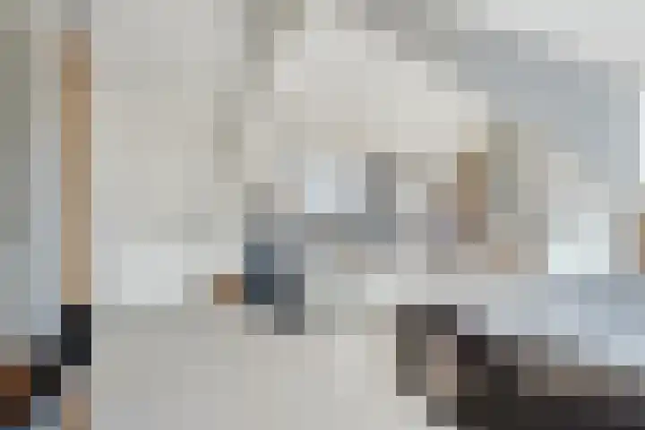 Prins Bernhardlaan 48 Voorschoten thumbnail 30