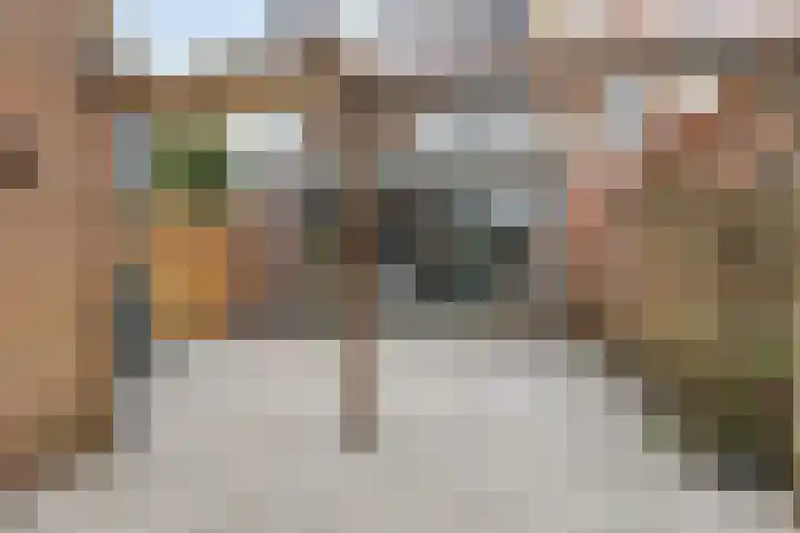 Prins Bernhardlaan 48 Voorschoten thumbnail 36