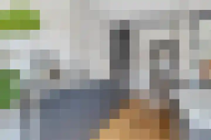 Prins Bernhardlaan 48 Voorschoten thumbnail 8