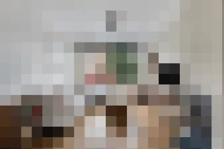 Prins Bernhardlaan 48 Voorschoten thumbnail 9