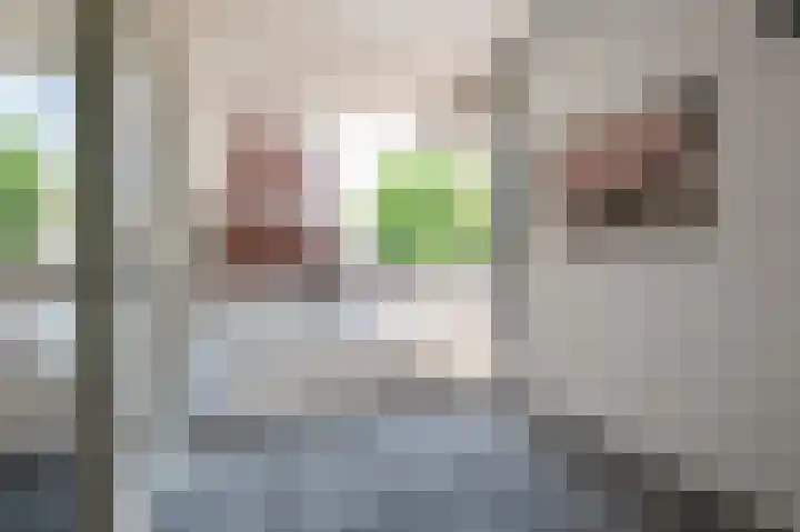 Prins Bernhardlaan 5 02 Geldermalsen thumbnail 12