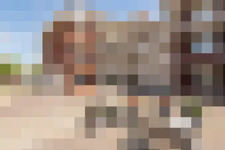 Prins Bernhardlaan 5 02 Geldermalsen thumbnail 29