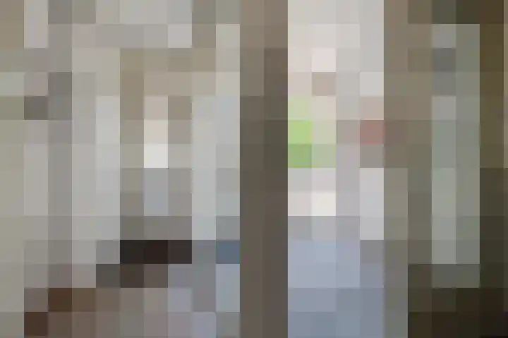 Prins Bernhardlaan 5 02 Geldermalsen thumbnail 8