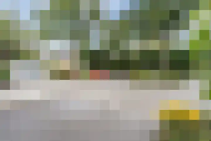 Prins Bernhardlaan 5 Egmond aan den Hoef thumbnail 5