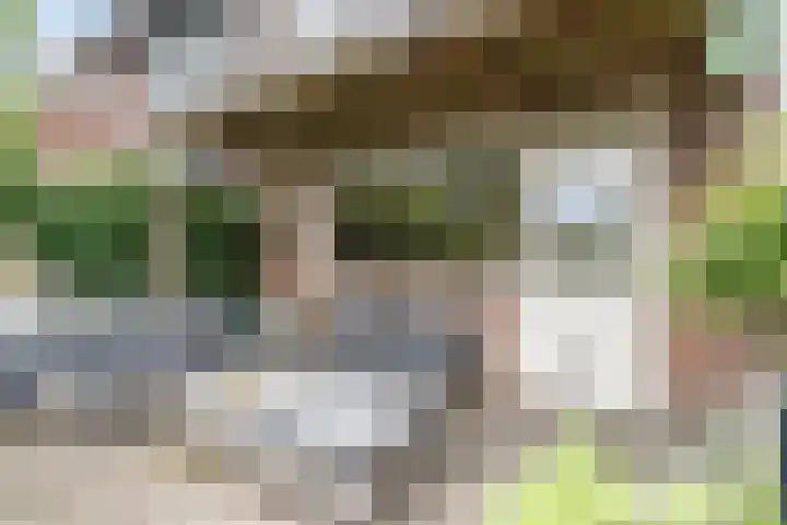 Prins Bernhardlaan 5 Egmond aan den Hoef thumbnail 51