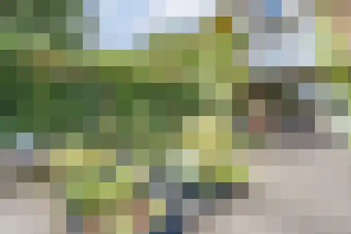 Prins Bernhardlaan 5 Egmond aan den Hoef thumbnail 54