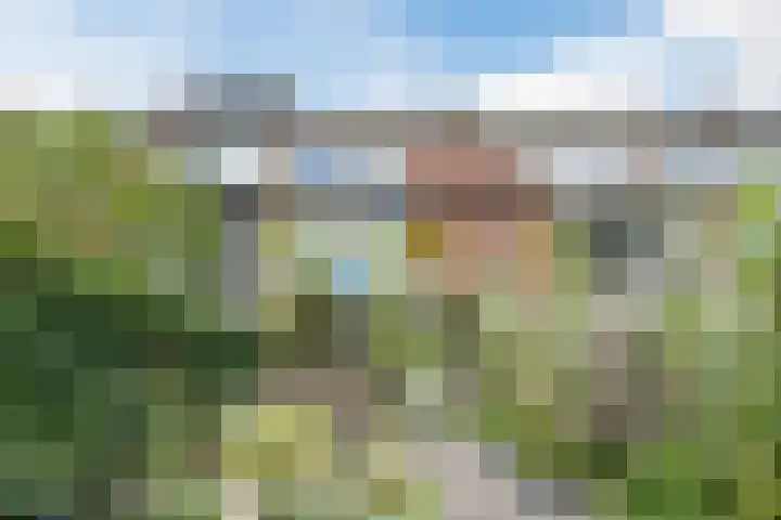 Prins Bernhardlaan 5 Egmond aan den Hoef thumbnail 56