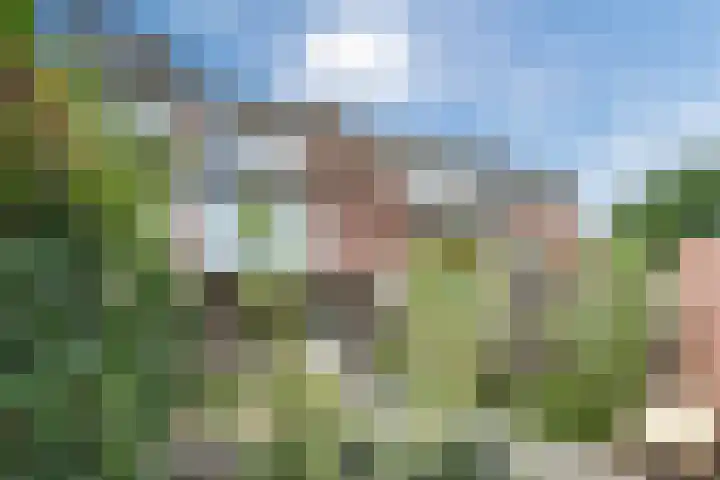 Prins Bernhardlaan 5 Egmond aan den Hoef thumbnail 57