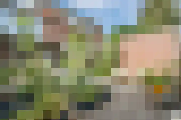 Prins Bernhardlaan 5 Egmond aan den Hoef thumbnail 58