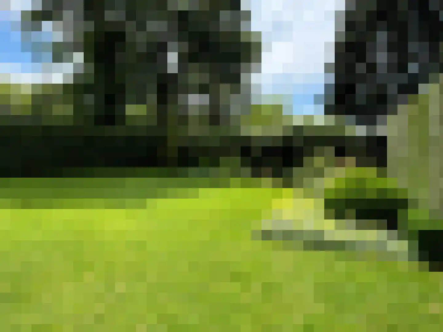 Prins Bernhardlaan 50 Heelsum thumbnail 22