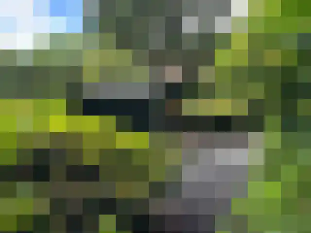Prins Bernhardlaan 50 Heelsum thumbnail 23