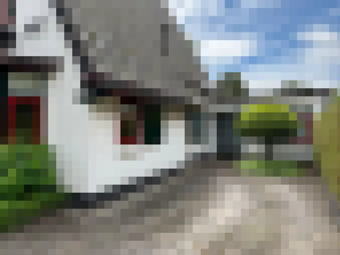 Prins Bernhardlaan 50 Heelsum thumbnail 25