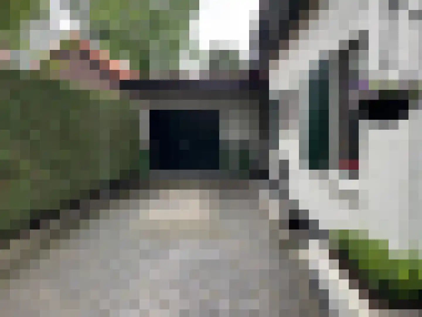 Prins Bernhardlaan 50 Heelsum thumbnail 26