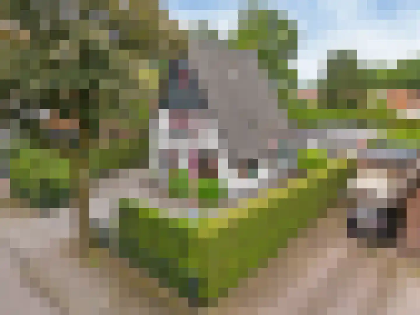 Prins Bernhardlaan 50 Heelsum thumbnail 64