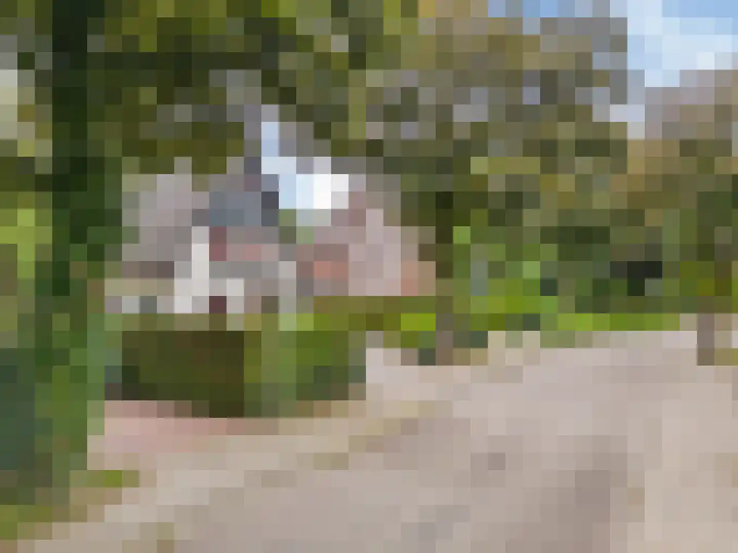 Prins Bernhardlaan 50 Heelsum thumbnail 67