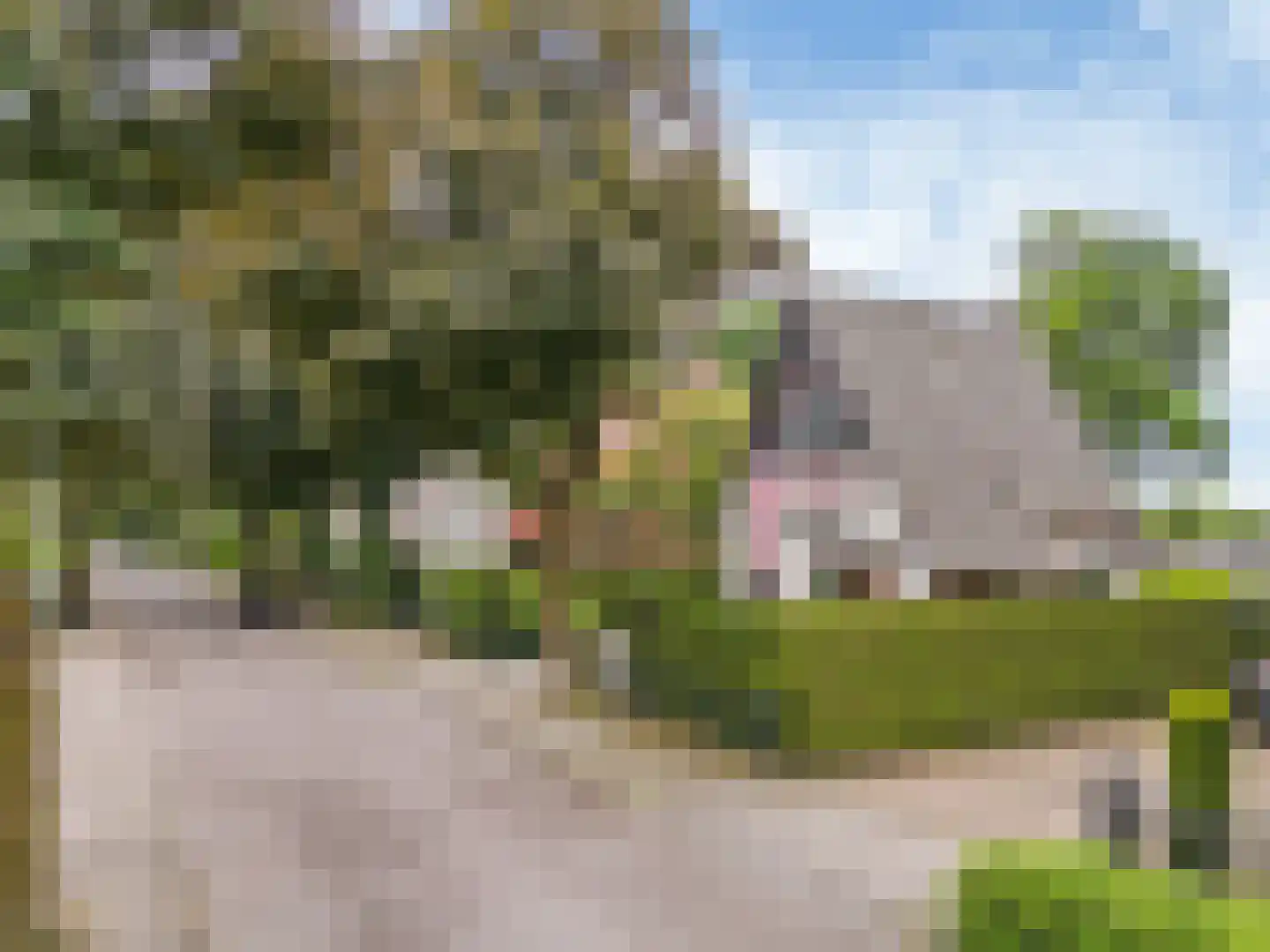 Prins Bernhardlaan 50 Heelsum thumbnail 68