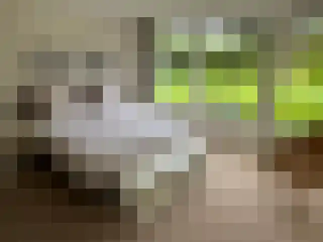 Prins Bernhardlaan 50 Heelsum thumbnail 9