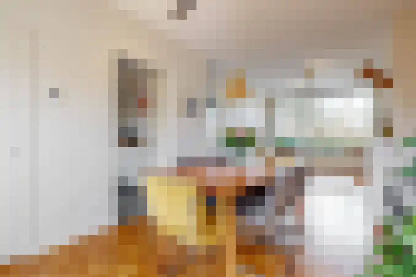 Prins Bernhardlaan 52 Voorschoten thumbnail 10