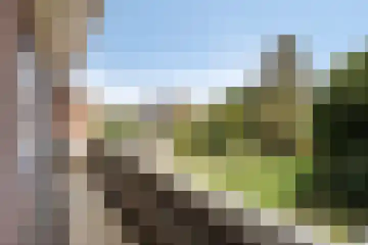Prins Bernhardlaan 53 Oegstgeest thumbnail 26