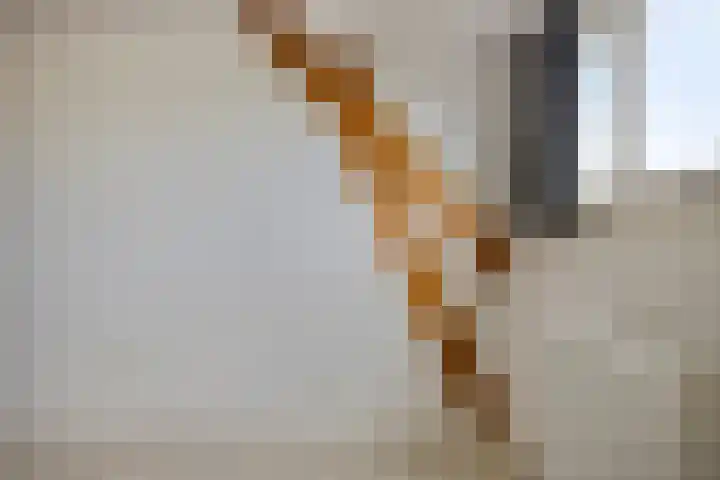 Prins Bernhardlaan 53 Oegstgeest thumbnail 30