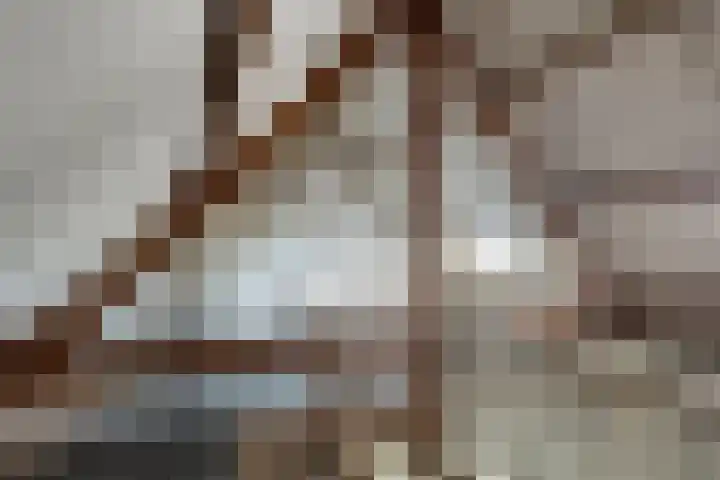 Prins Bernhardlaan 53 Oegstgeest thumbnail 37