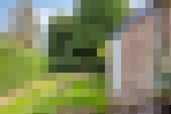 Prins Bernhardlaan 53 Oegstgeest thumbnail 41