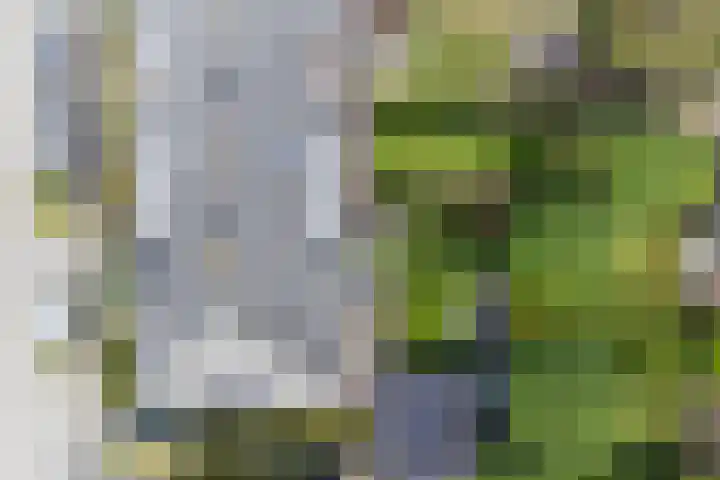 Prins Bernhardlaan 53 Oegstgeest thumbnail 42