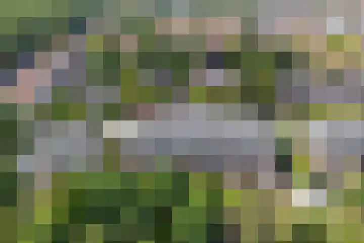 Prins Bernhardlaan 53 Oegstgeest thumbnail 46