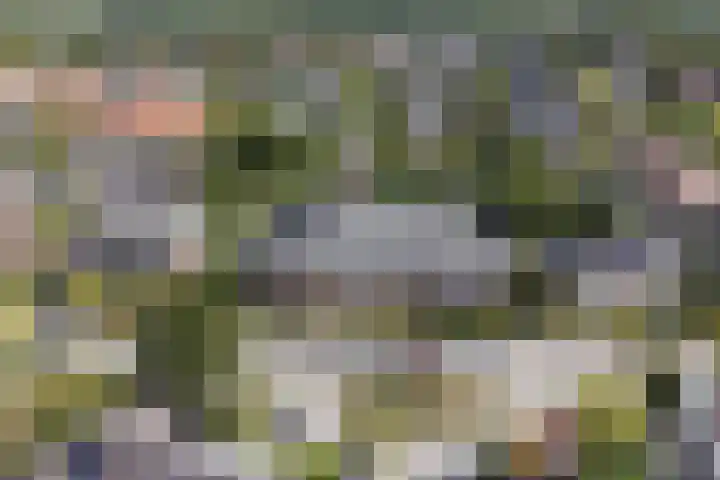 Prins Bernhardlaan 53 Oegstgeest thumbnail 48