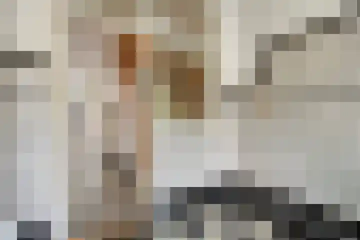 Prins Bernhardlaan 53 Oegstgeest thumbnail 5