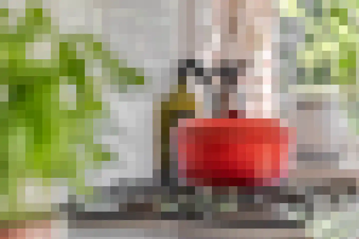 Prins Bernhardlaan 55 A Ede thumbnail 16