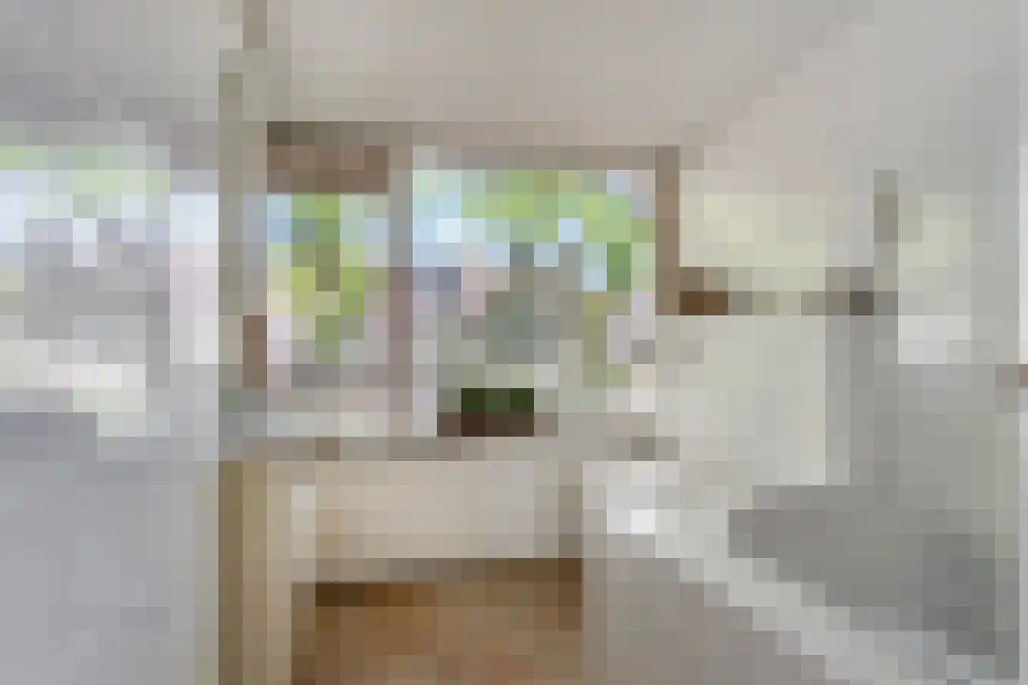 Prins Bernhardlaan 55 A Ede thumbnail 29