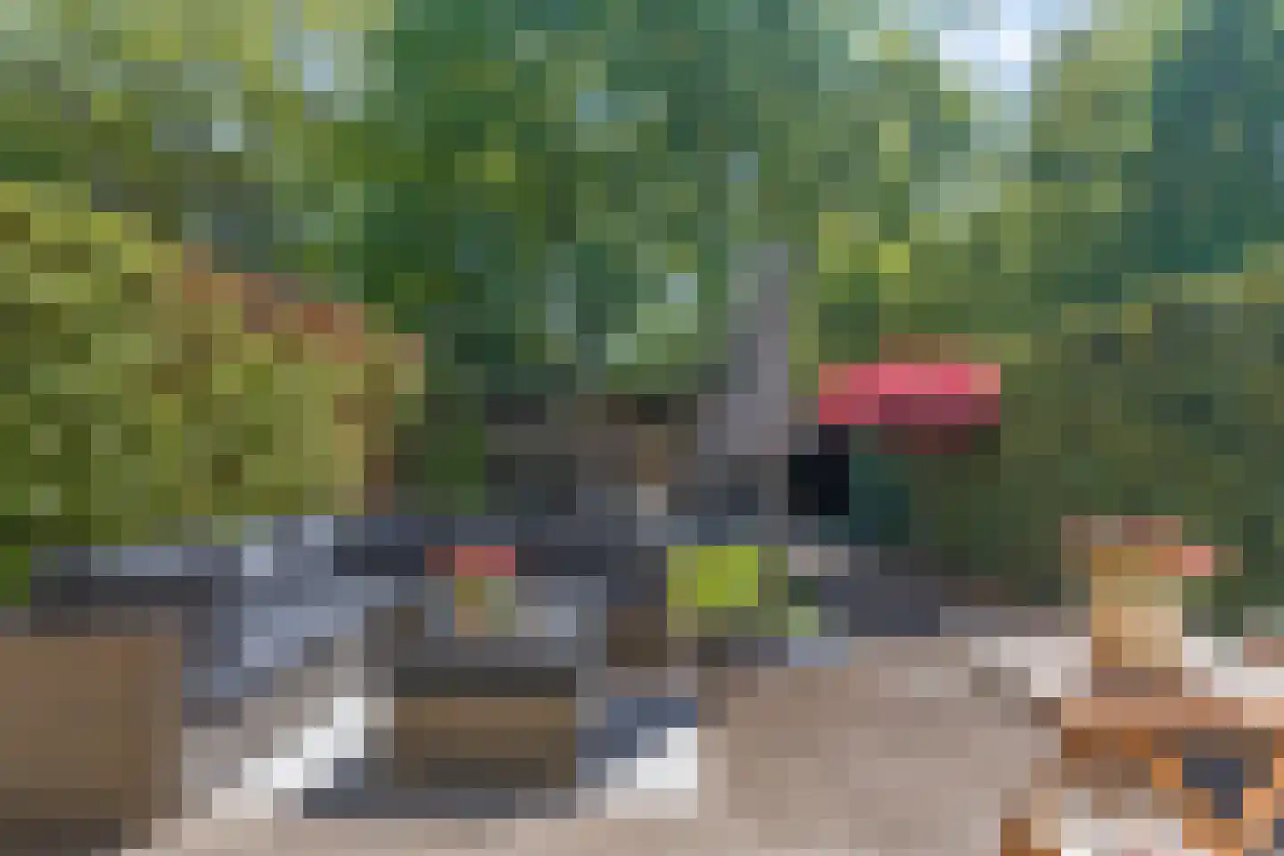 Prins Bernhardlaan 55 A Ede thumbnail 34