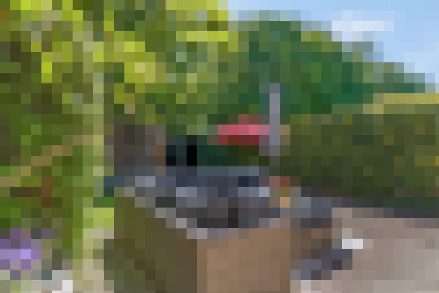 Prins Bernhardlaan 55 A Ede thumbnail 36