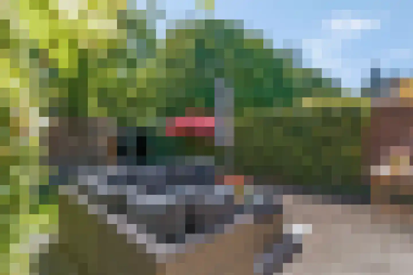Prins Bernhardlaan 55 A Ede thumbnail 41