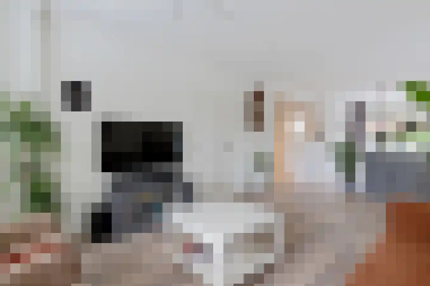 Prins Bernhardlaan 60 Joure thumbnail 11