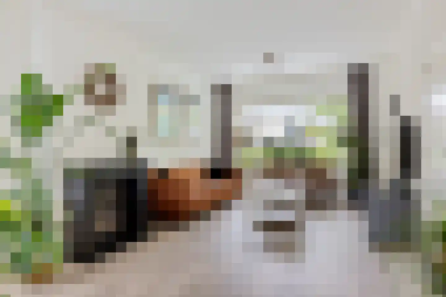Prins Bernhardlaan 60 Joure thumbnail 15
