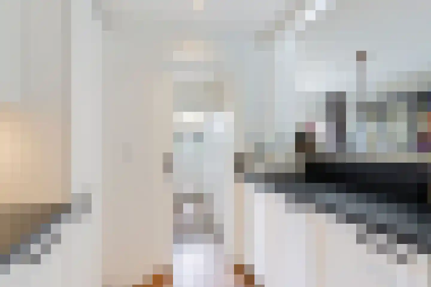 Prins Bernhardlaan 60 Joure thumbnail 17