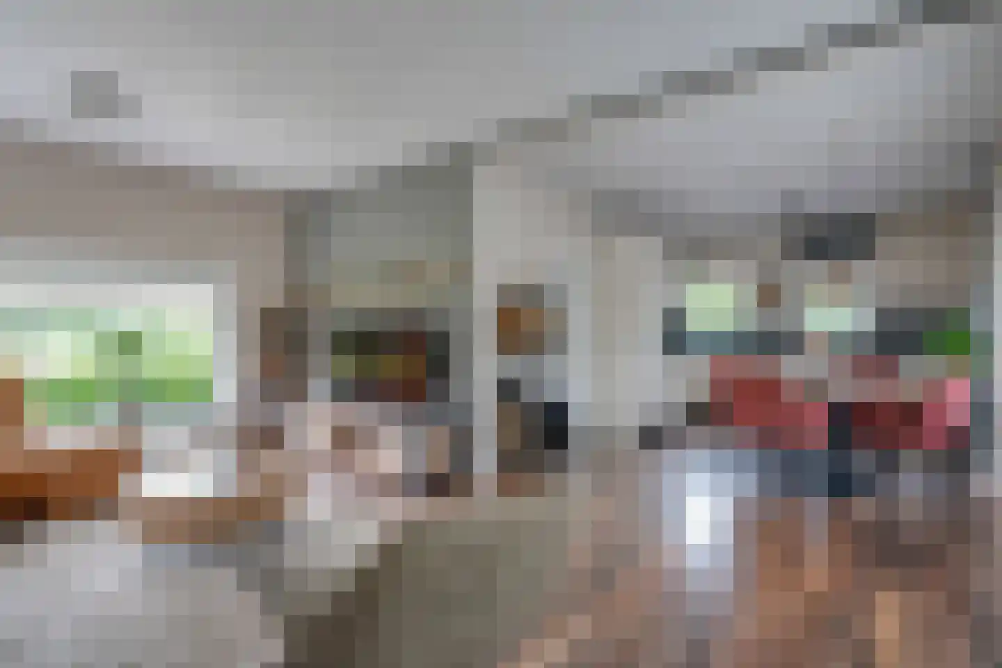 Prins Bernhardlaan 62 Delfzijl thumbnail 25