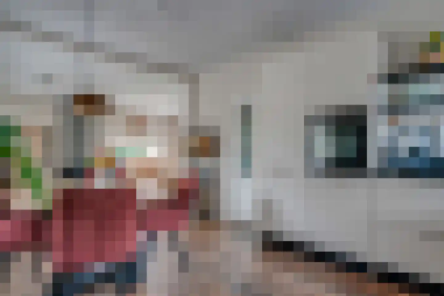 Prins Bernhardlaan 62 Delfzijl thumbnail 32