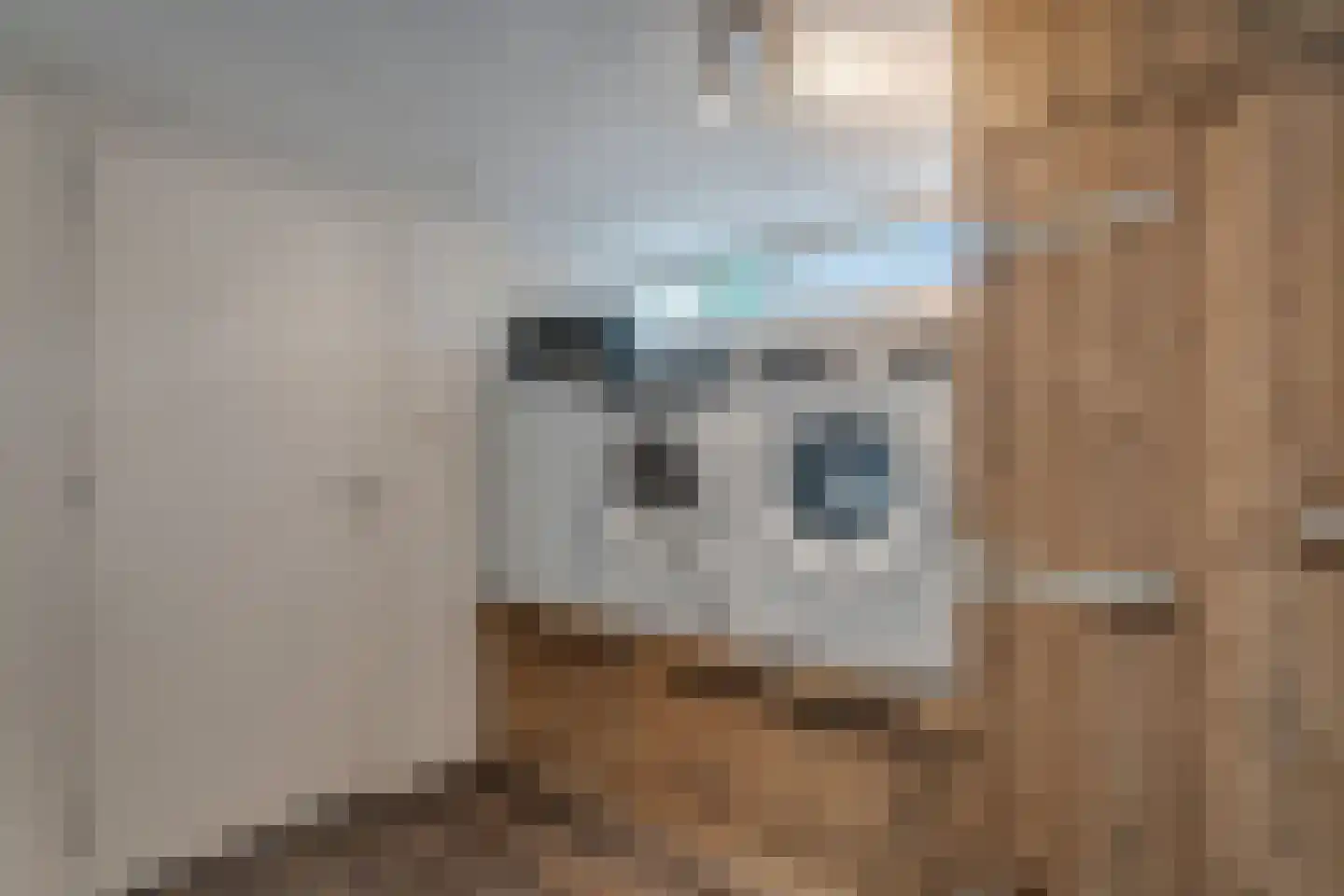 Prins Bernhardlaan 62 Delfzijl thumbnail 33