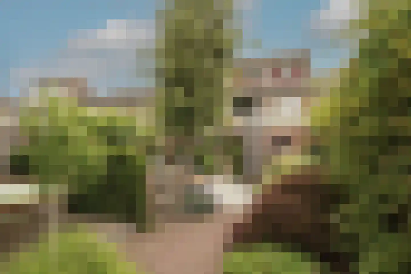 Prins Bernhardlaan 64 Maartensdijk thumbnail 19