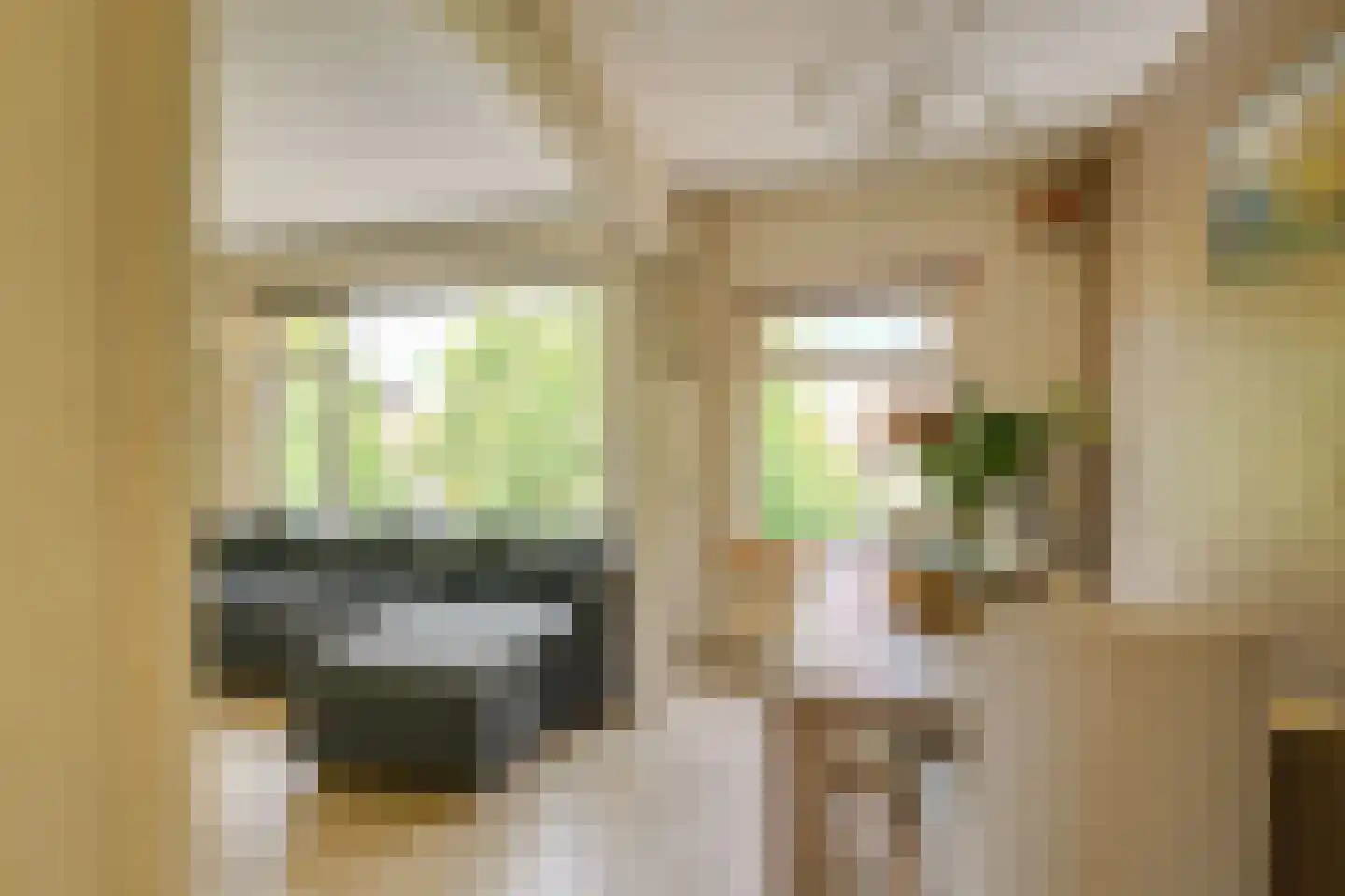 Prins Bernhardlaan 66 Voorburg thumbnail 10