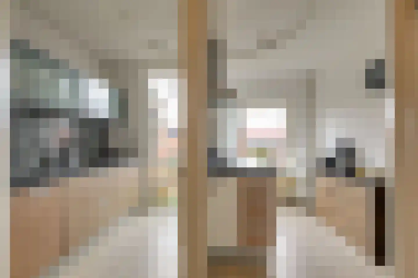 Prins Bernhardlaan 66 Voorburg thumbnail 12