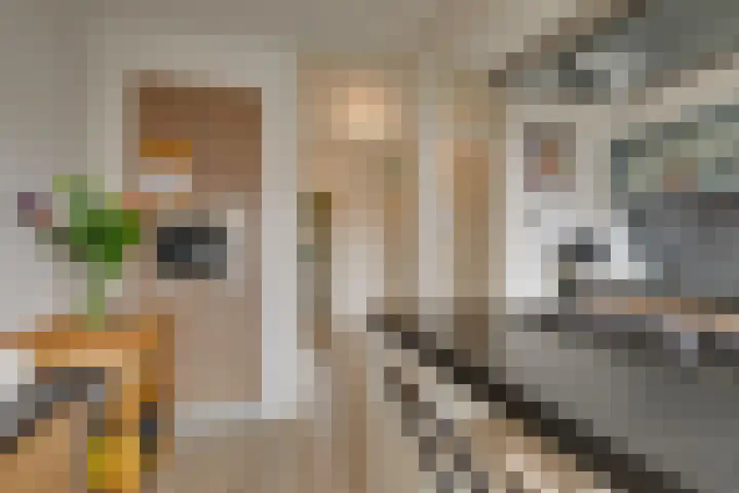 Prins Bernhardlaan 66 Voorburg thumbnail 14
