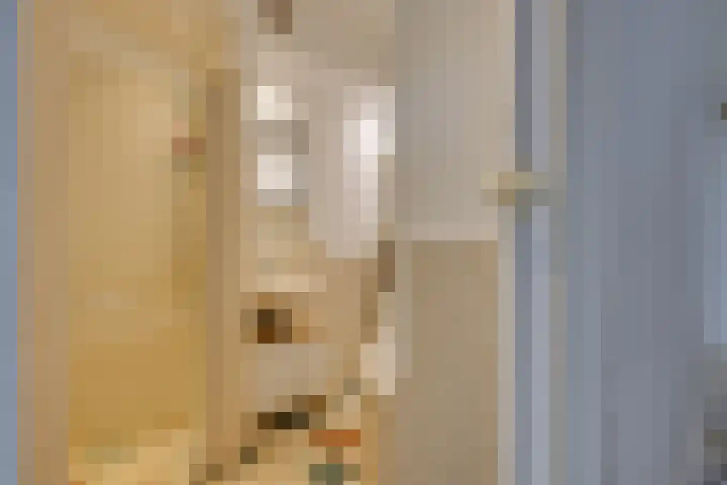 Prins Bernhardlaan 66 Voorburg thumbnail 19