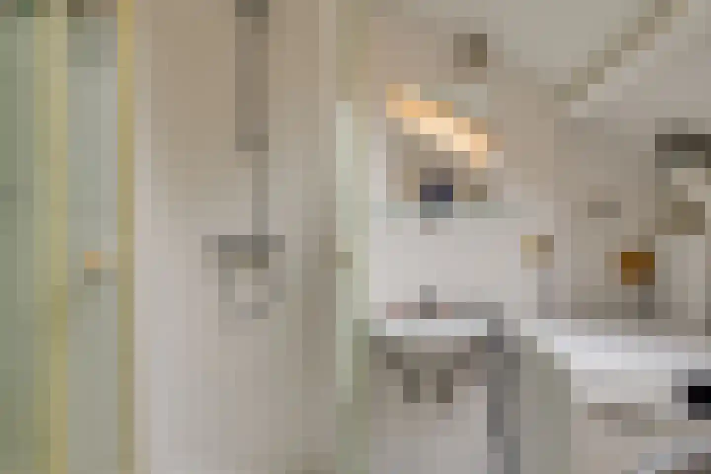 Prins Bernhardlaan 66 Voorburg thumbnail 27