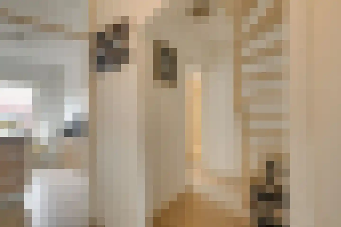 Prins Bernhardlaan 66 Voorburg thumbnail 4